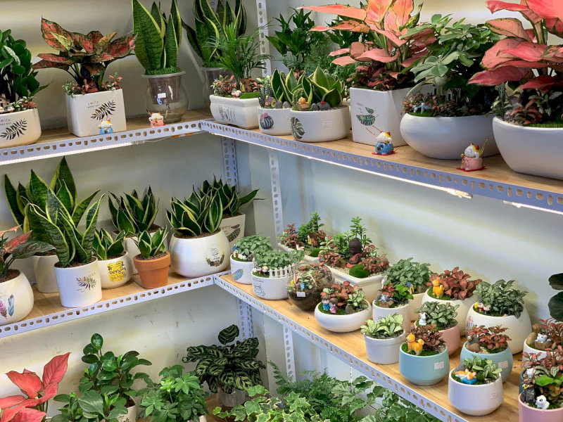 Kinh doanh gì 2026? 14 ý tưởng kinh doanh đột phá không thể bỏ qua