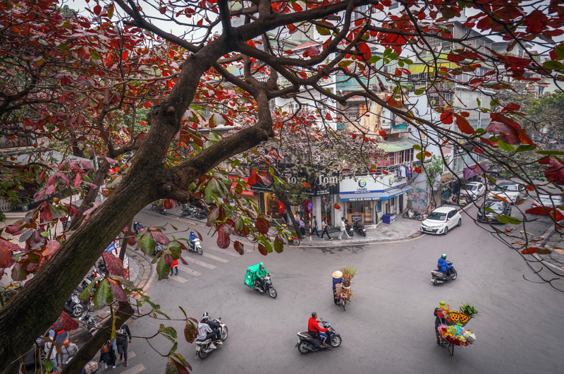 Phường Cống Vị sau sáp nhập: Chia tách địa giới và những thay đổi quan trọng