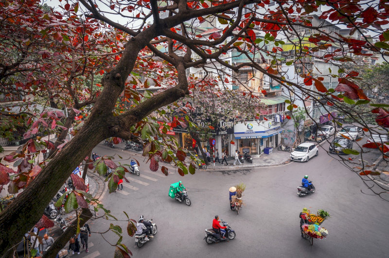 Phường Định Công sau sáp nhập: Quy mô lớn hơn và những thay đổi quan trọng