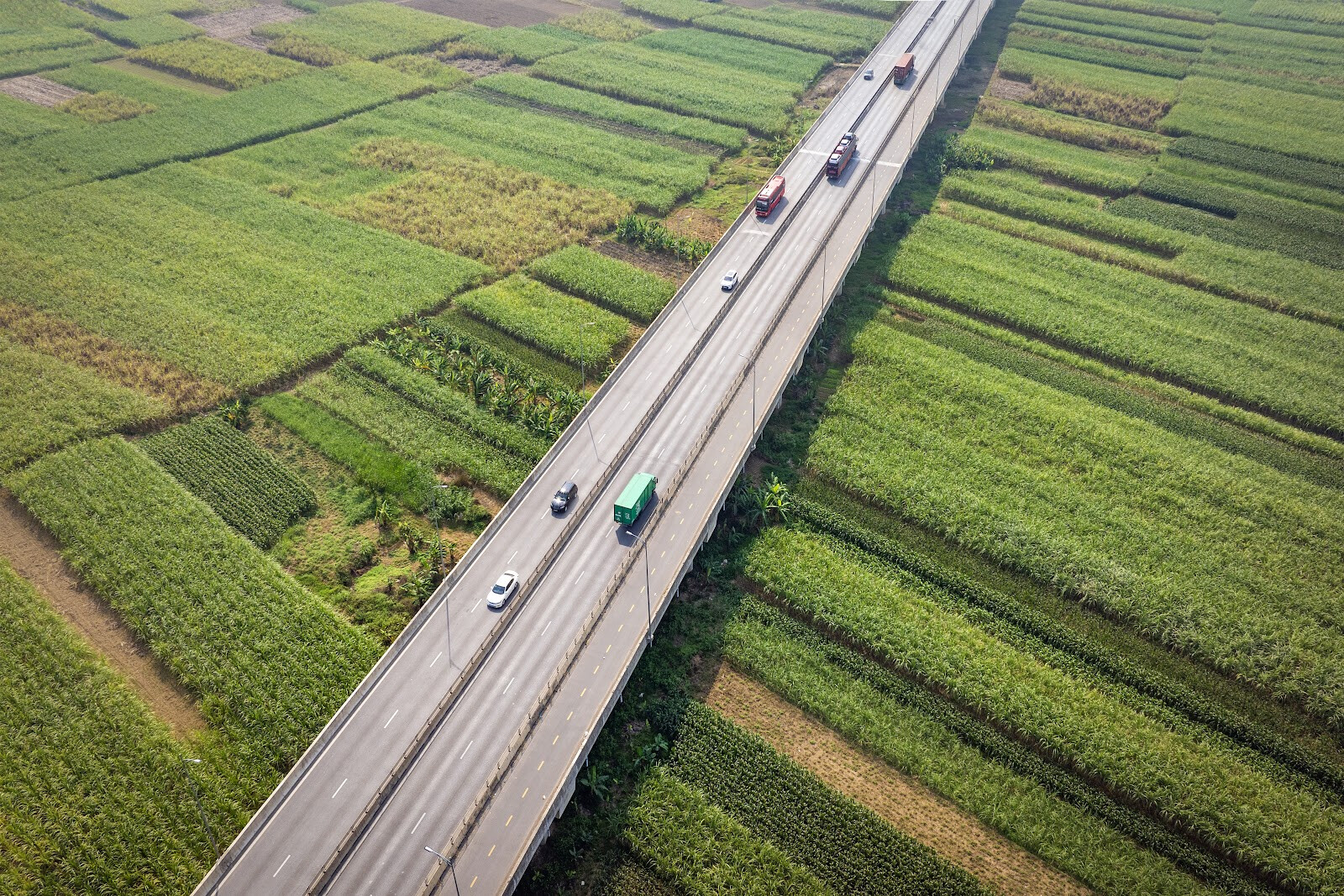 Chuyển đổi số trong logistics nông sản: Đòn bẩy nâng giá trị và mở rộng thị trường