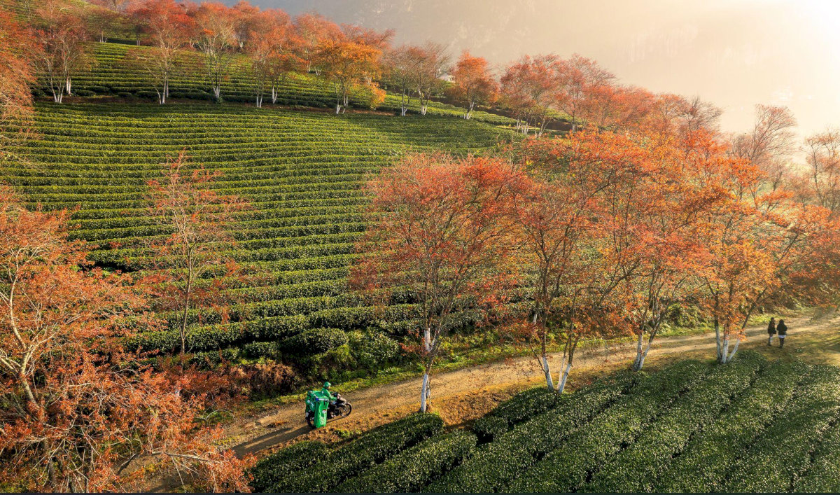 Yên Bái sáp nhập với tỉnh nào? Thông tin chi tiết về tỉnh Lào Cai mới 2025