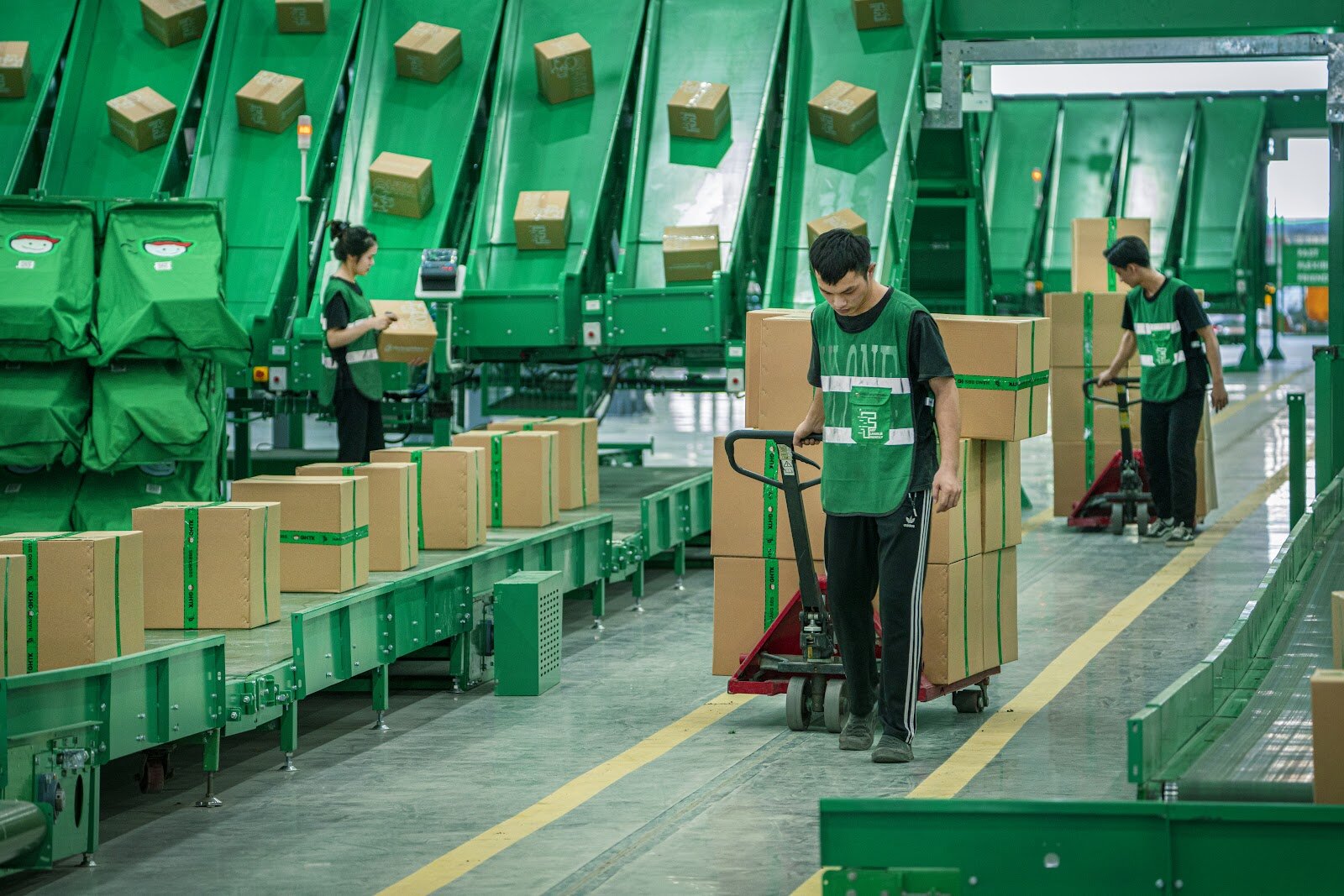 Lưu trữ và quản lý hàng hóa sau mùa cao điểm: Giải pháp tối ưu cho chuỗi cung ứng trong ngành FMCG