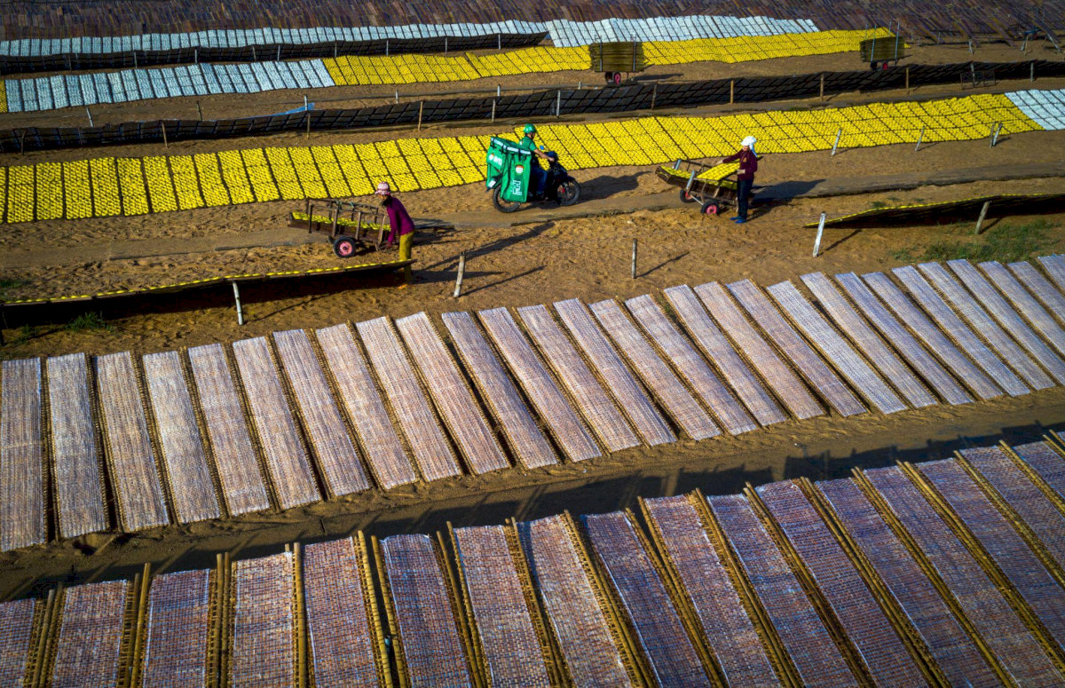 Phường 13 quận 11 sáp nhập: Quy hoạch địa giới và trụ sở hành chính mới