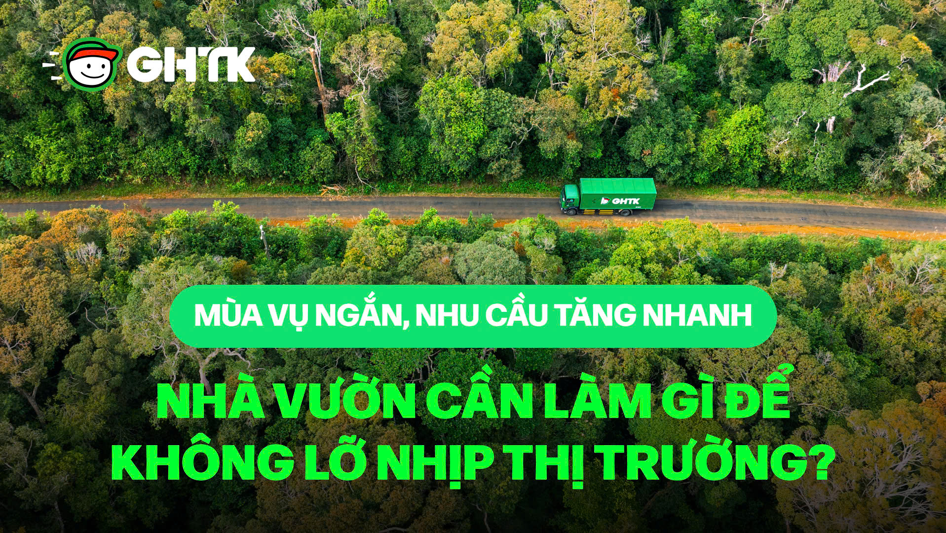 Mùa vụ ngắn, nhu cầu tăng nhanh – Nhà vườn cần làm gì để không lỡ nhịp thị trường?