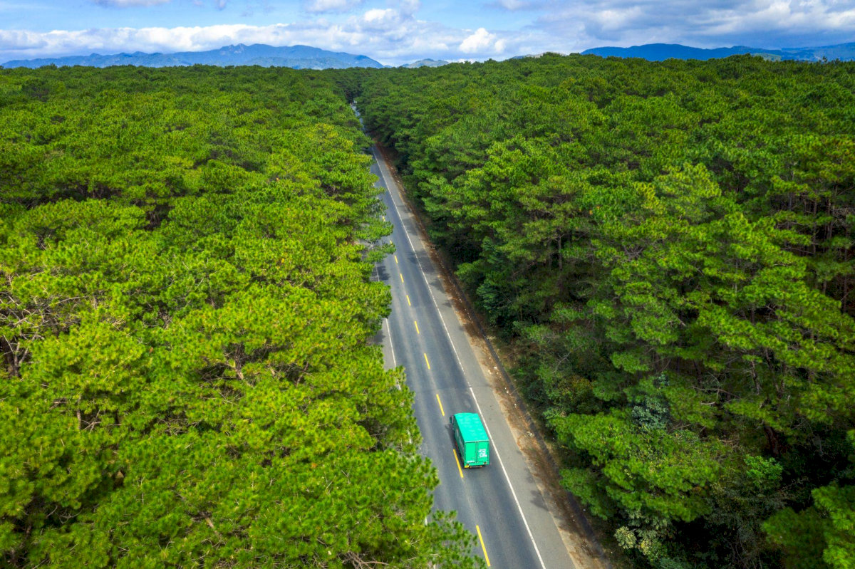 Thành phố Cà Mau sau sáp nhập: Mở rộng địa giới và cấu trúc hành chính mới