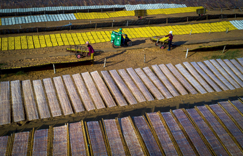 Phường Bồ Đề sau sáp nhập: Mở rộng quy mô và sắp xếp trụ sở hành chính