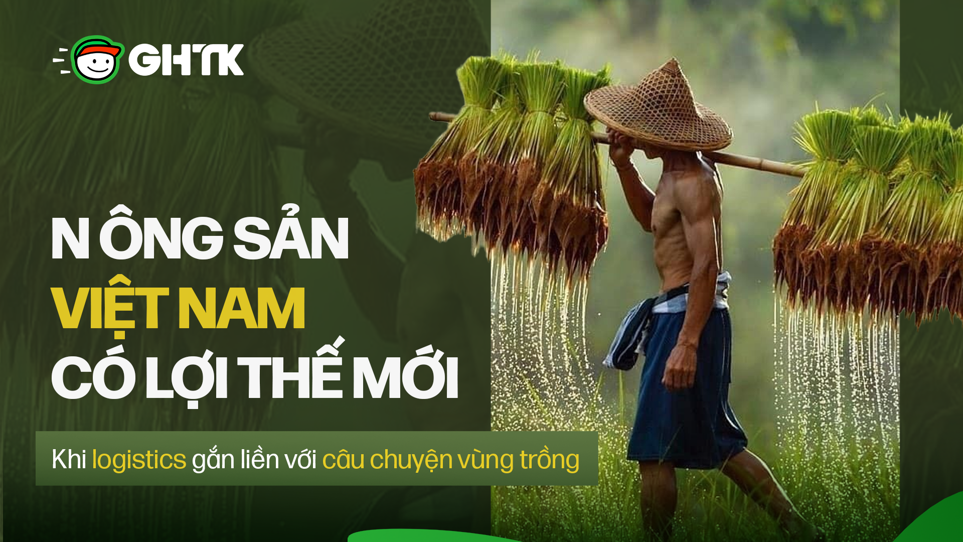 Khi logistics gắn liền với câu chuyện vùng trồng, nông sản Việt có thêm lợi thế mới