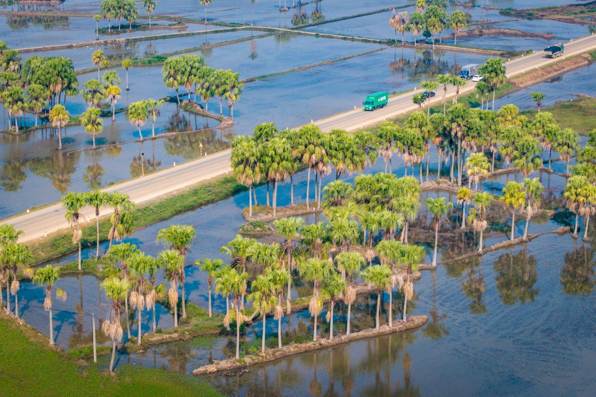 Vĩnh Long sáp nhập với tỉnh nào? Thông tin chính thức về quy hoạch tỉnh Vĩnh Long 2025