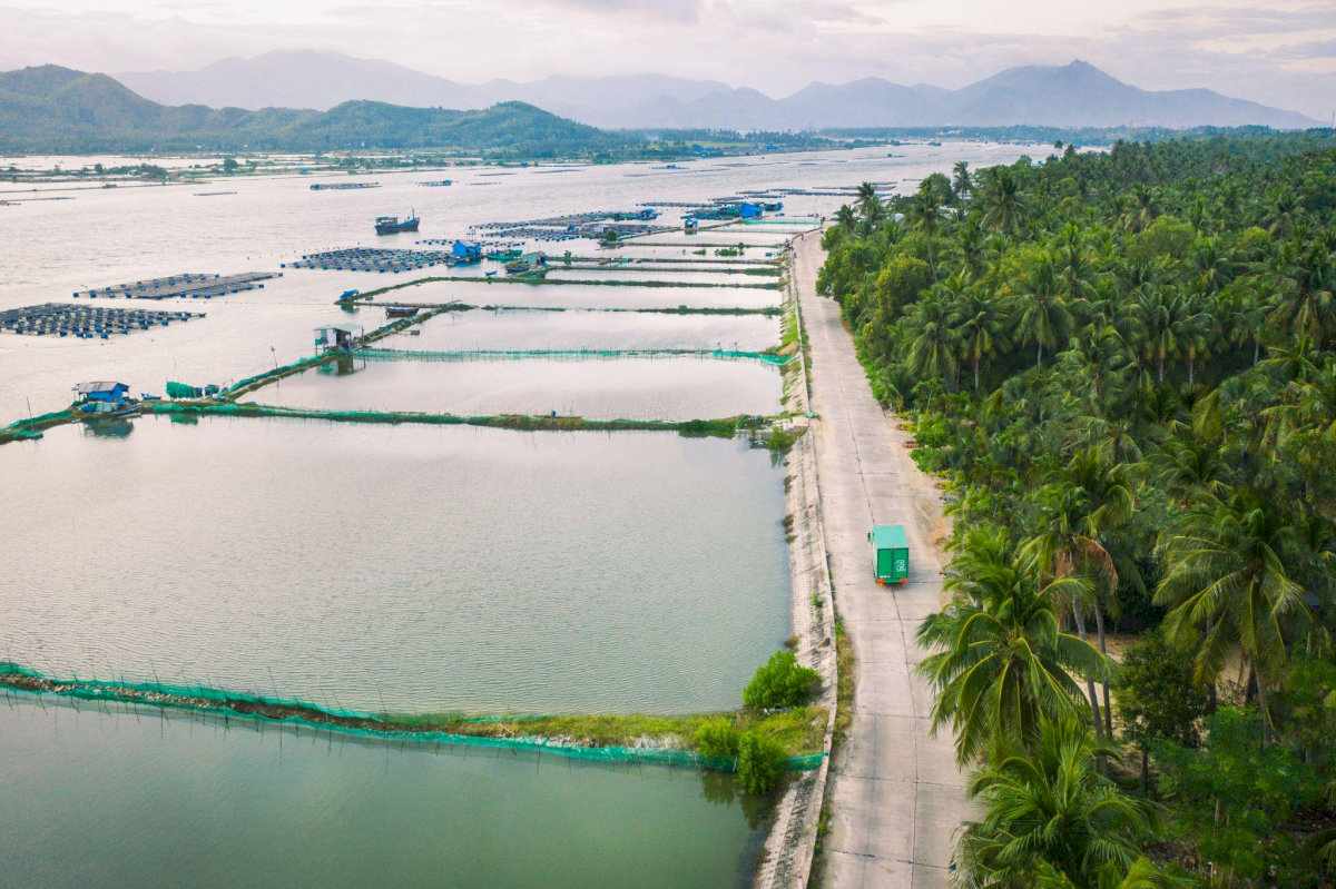 Hoài Nhơn sau sáp nhập: Mở rộng địa giới và cấu trúc hành chính mới